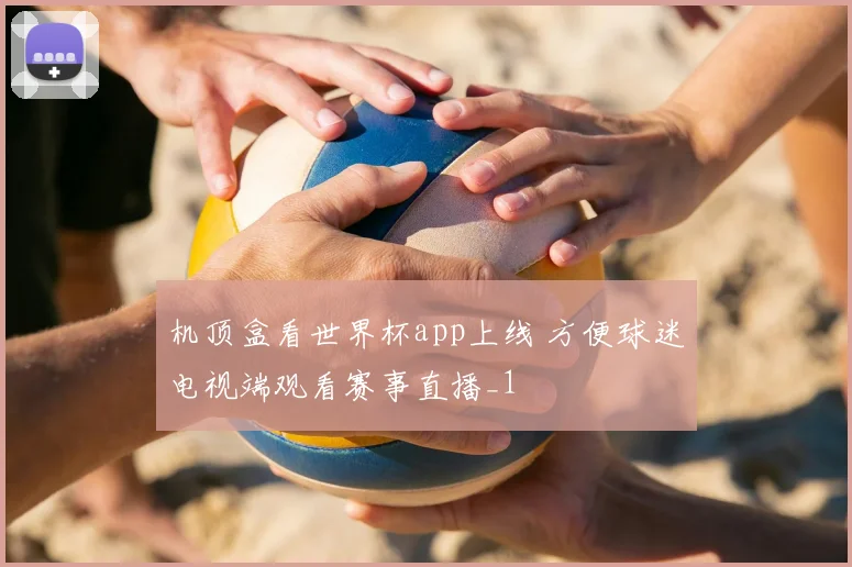 机顶盒看世界杯app上线 方便球迷电视端观看赛事直播_1