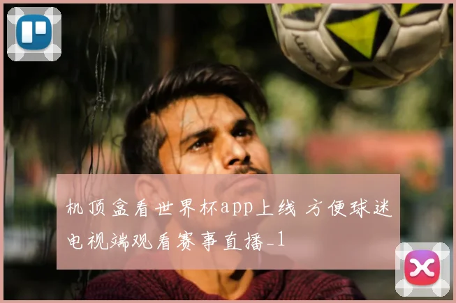 机顶盒看世界杯app上线 方便球迷电视端观看赛事直播_1