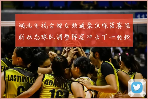 湖北电视台综合频道聚焦绿茵赛场新动态球队调整阵容冲击下一轮较量